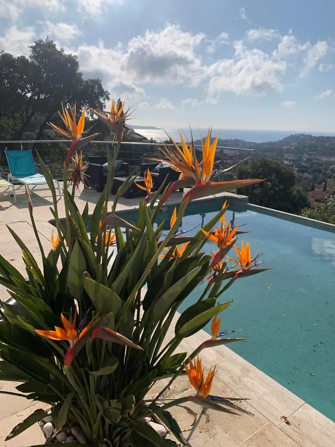 New! Villa Vue Mer Panoramique, Proche Plage Et Saint-Tropez 0*, Cavalaire-sur-Mer France